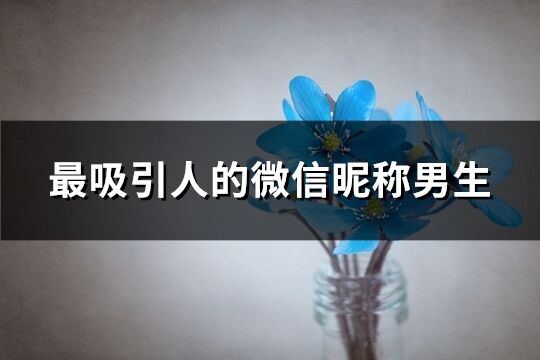 最吸引人的微信昵稱男生(247個)