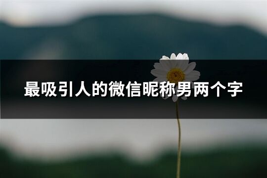 最吸引人的微信昵稱男兩個字(共230個)