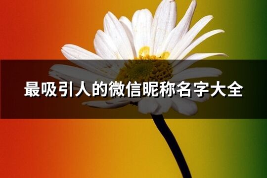 最吸引人的微信昵稱名字大全(精選219個)