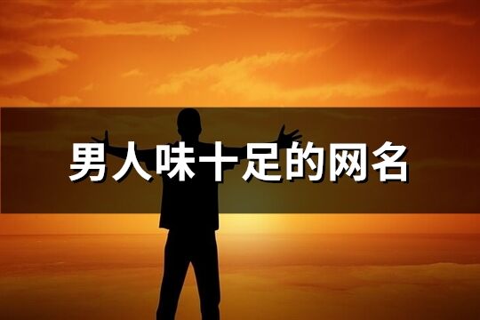 男人味十足的網(wǎng)名(精選256個(gè))