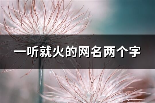 一聽就火的網名兩個字(共110個)