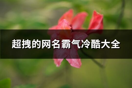 超拽的網名霸氣冷酷大全(共249個)