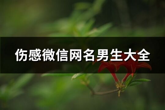 傷感微信網名男生大全(精選215個)