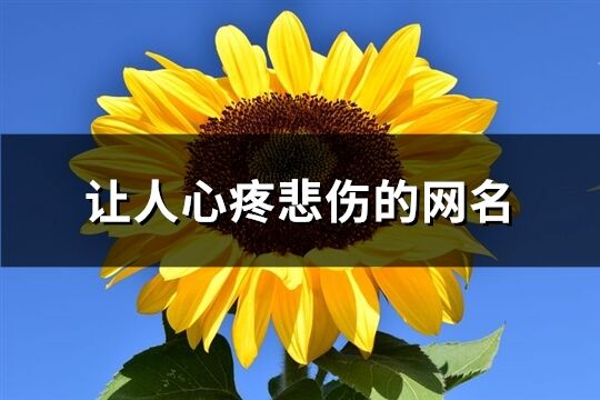 讓人心疼悲傷的網名(共152個)