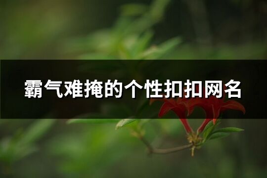 霸氣難掩的個性扣扣網名(精選100個)