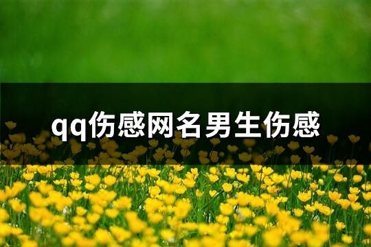 qq傷感網(wǎng)名男生傷感(精選311個(gè))