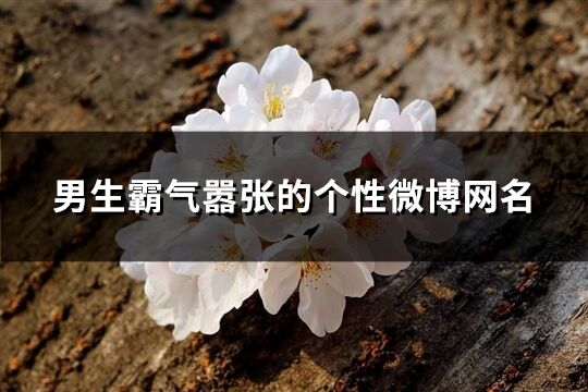 男生霸氣囂張的個性微博網名(精選133個)