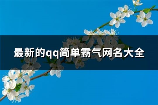 最新的qq簡(jiǎn)單霸氣網(wǎng)名大全(202個(gè))
