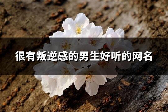很有叛逆感的男生好聽的網(wǎng)名(優(yōu)選251個)