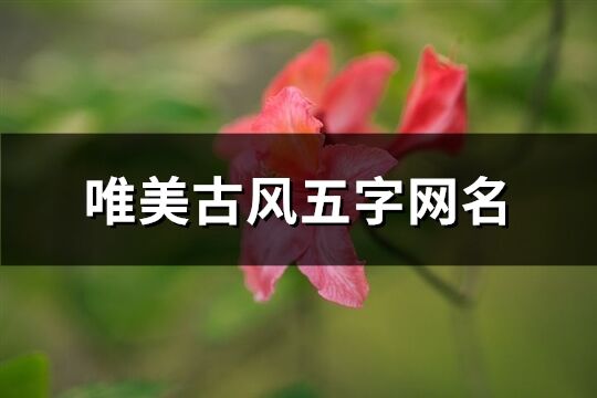 唯美古風五字網名(共100個)