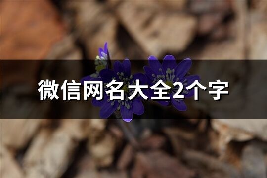 微信網名大全2個字(133個)