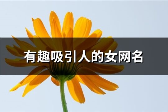 有趣吸引人的女網(wǎng)名(精選254個)