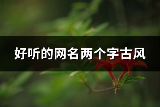 好聽的網(wǎng)名兩個字古風(fēng)(196個)