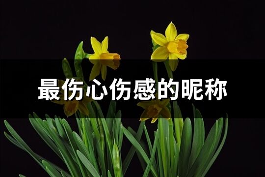 最傷心傷感的昵稱(260個)