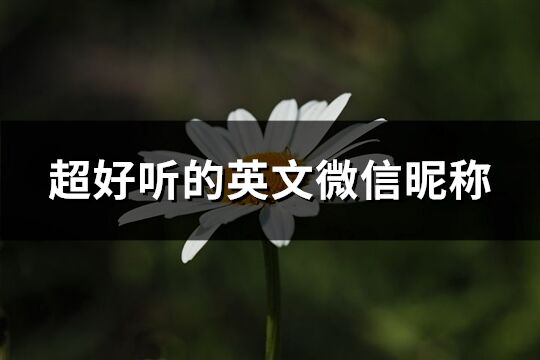 超好聽的英文微信昵稱(優選281個)