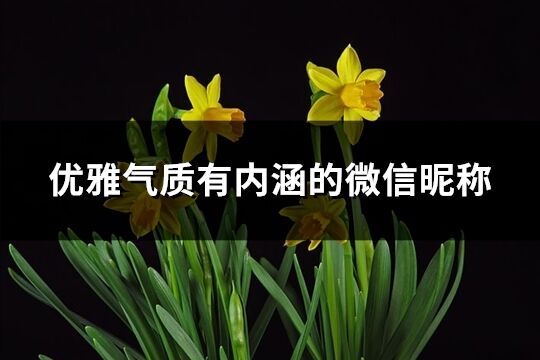 優(yōu)雅氣質(zhì)有內(nèi)涵的微信昵稱(共208個(gè))