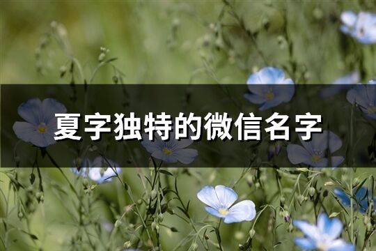 夏字獨特的微信名字(優選162個)