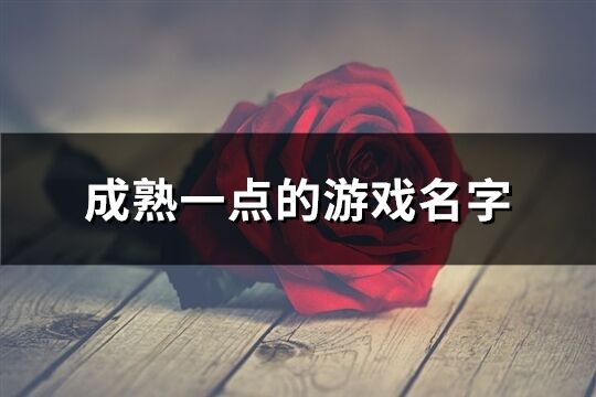 成熟一點的游戲名字(263個)