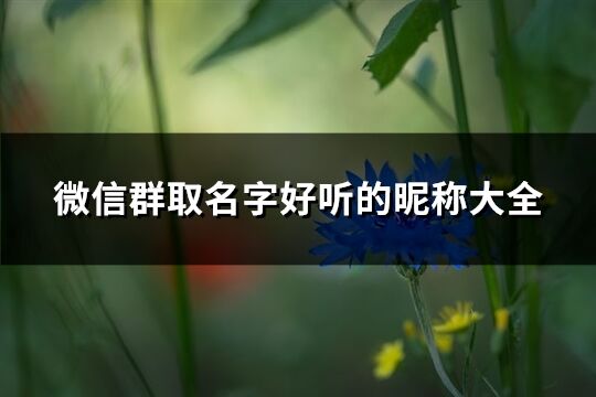 微信群取名字好聽的昵稱大全(282個)