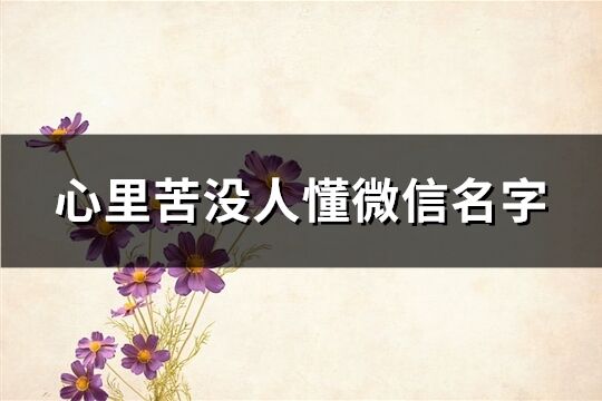 心里苦沒人懂微信名字(共200個)