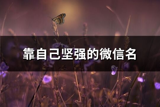靠自己堅強的微信名(319個)