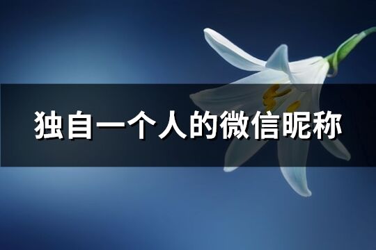 獨自一個人的微信昵稱(212個)