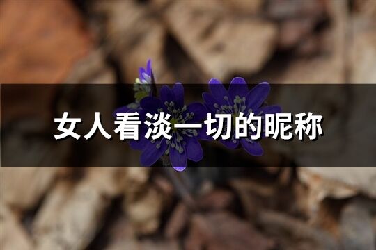 女人看淡一切的昵稱(179個)
