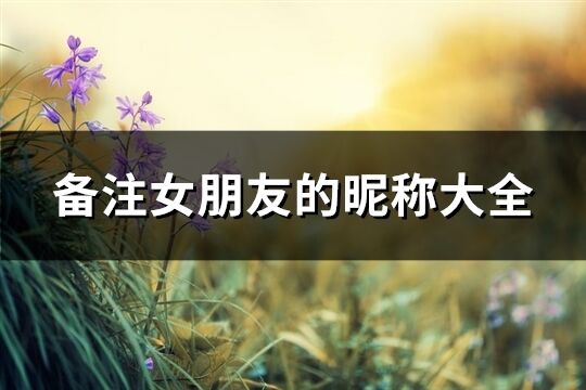 備注女朋友的昵稱大全(精選284個)