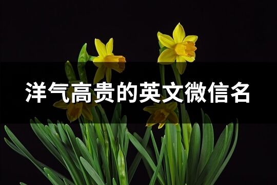 洋氣高貴的英文微信名(精選137個(gè))