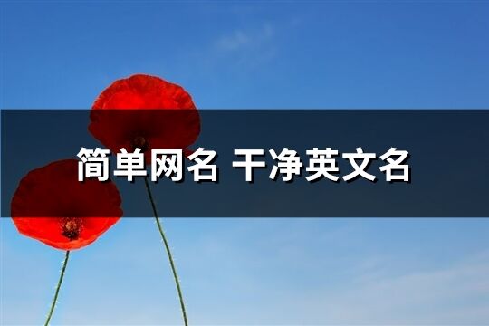 簡單網名 干凈英文名(241個)