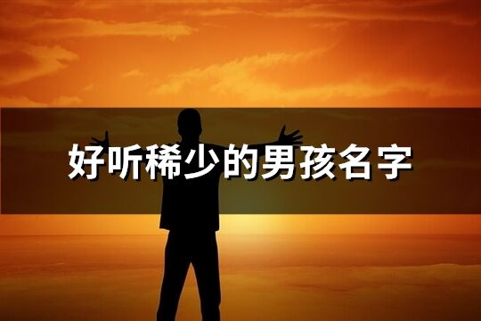 好聽稀少的男孩名字(共101個)