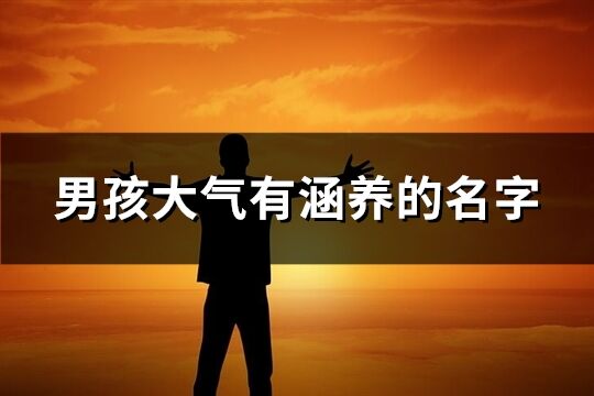 男孩大氣有涵養的名字(223個)