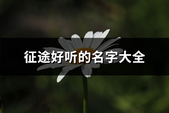 征途好聽的名字大全(198個)