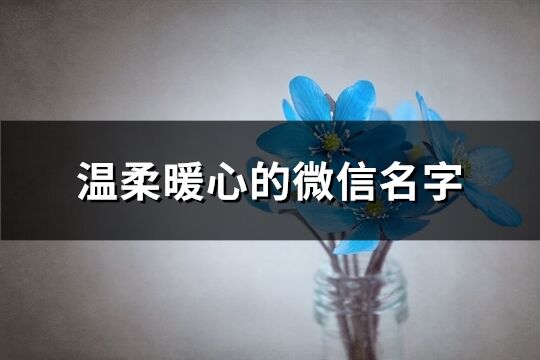 溫柔暖心的微信名字(精選104個)