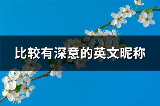 比較有深意的英文昵稱(優選100個)