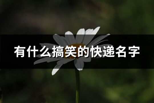 有什么搞笑的快遞名字(精選63個(gè))