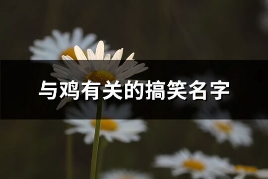 與雞有關的搞笑名字(優選169個)