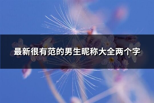 最新很有范的男生昵稱大全兩個字(1468個)
