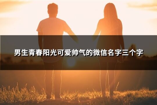 男生青春陽光可愛帥氣的微信名字三個字(優選401個)