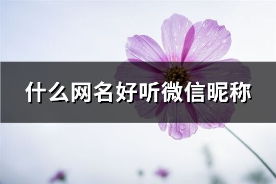 什么網名好聽微信昵稱(優選619個)