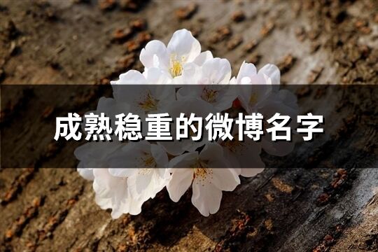 成熟穩重的微博名字(191個)