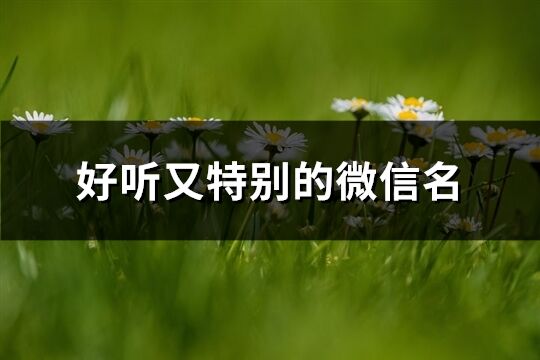 好聽又特別的微信名(優選353個)
