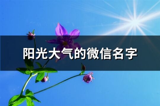 陽光大氣的微信名字(共825個)