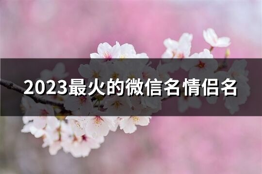 2023最火的微信名情侶名(274個)