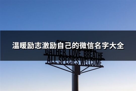 溫暖勵志激勵自己的微信名字大全(優(yōu)選204個)