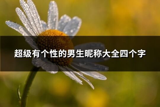 超級有個性的男生昵稱大全四個字(共614個)