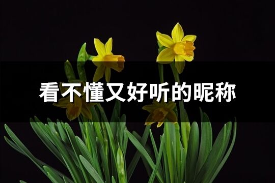 看不懂又好聽的昵稱(優選428個)
