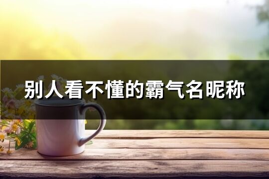 別人看不懂的霸氣名昵稱(88個)