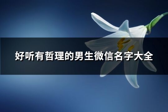 好聽有哲理的男生微信名字大全(272個)