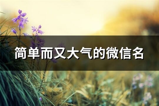 簡(jiǎn)單而又大氣的微信名(優(yōu)選839個(gè))
